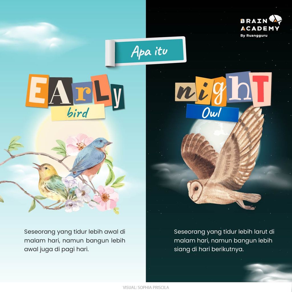 Early Bird Vs Night Owl Kira Kira Kamu Yang Mana